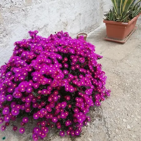 Appartement Masseria Ricci Fasano