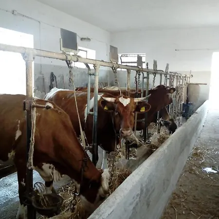 Masseria Ricci * Fasano