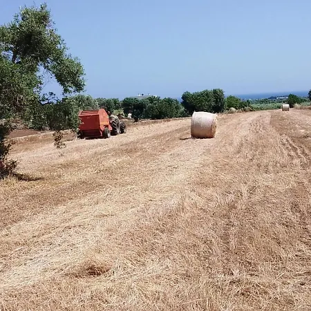 Appartamento Masseria Ricci